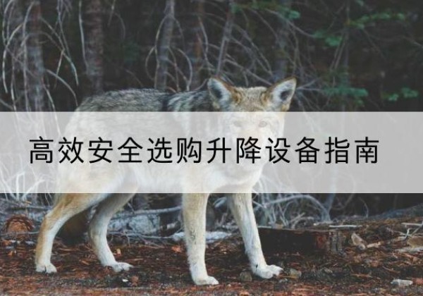 泗洪升降货梯厂家推荐-*安全选购升降设备指南