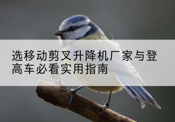 泗洪电动升降机厂家-选移动剪叉升降机厂家与登高车必看实用指南
