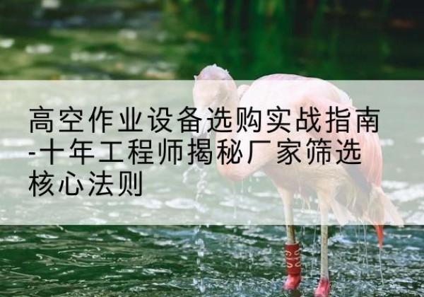 泗洪剪叉式升降机厂家-高空作业设备选购实战指南-十年工程师揭秘厂家筛选核心法则