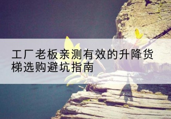 泗洪升降货梯怎么选-工厂老板亲测有效的升降货梯选购避坑指南
